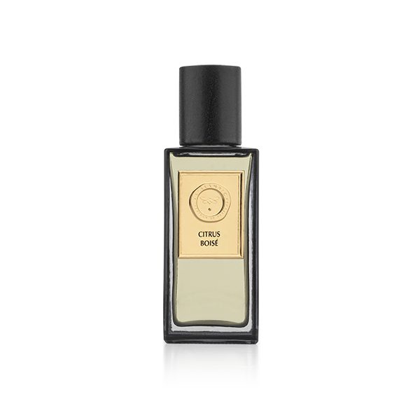 Parfum homme citrus boisé 100ml