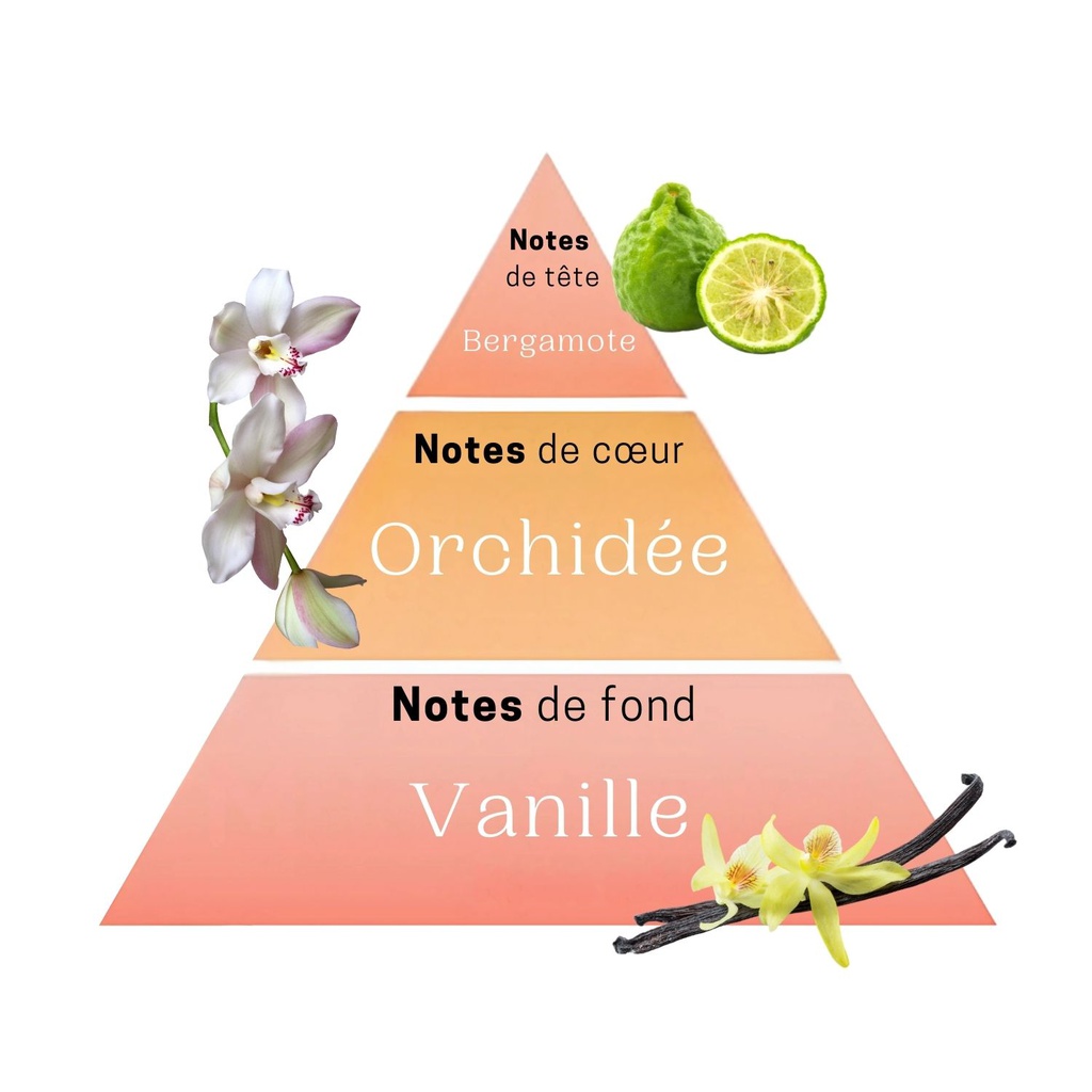 Coffret Parfum wild orchid