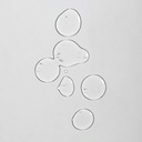 Huile de douche under the jasmine 400ml